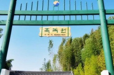 [KTX당일]-담양 죽녹원/.메타세콰이어/강천산 구름다리 (당일)