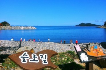 [KTX]남도 진수성찬! 강진 / 슬로시티 청산도 1박2일 (4식) ~