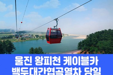협곡4) 울진 왕피천 케이블카 / 협곡열차(당일)  [부산/대구/진주/마산/울산/서울/천안/대전/경주출발/광주송정/익산/정읍/오송] -