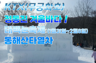 [KTX / 무궁화] 정동진 겨울바다 / 태백 눈축제 / 동해산타열차 [겨울 시즌상품] (당일여행-식사포함) [2026년1월31일~2월8일]