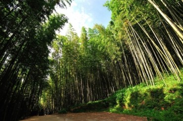 [KTX] 2023 남도별미 2박3일 여행 ( 담양/곡성/남해/여수 )-[호텔] 12월 ~3월 까지(동절기)