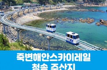 [수도권,충청권,경상권]죽변해안스카이레일&청송 주산지(당일)  [부산/대구/진주/울산/서울/천안/대전출발]