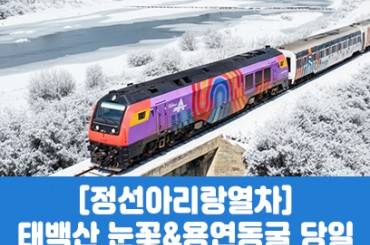 [수도권,경기권,충청권 경상권] [정선아리랑열차- 겨울눈꽃] 정선시장, 태백산 눈꽃/ 용연동굴  국내 당일여행 [청량리,양평,영동,대전,부산,울산,마산,창원,동대구,경주,원주역]