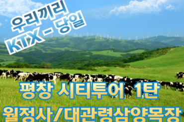 [ KTX - 우리끼리]  평창택시투어 (1탄) 천년고찰 월정사 / 대관령삼양목장 여행(당일)