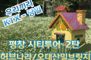 [ KTX - 우리끼리]  평창택시투어 (2탄) 향기정원 허브나라 & 오대산 밀브릿지 여행 (당일)