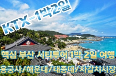 [KTX] 핵심 부산1박2일 여행 (용궁사/해운대/태종대/자갈치)-★LCT숙박-리조트형/전객실 오션뷰★ [서울역,대전역출발]  4인1실부터~