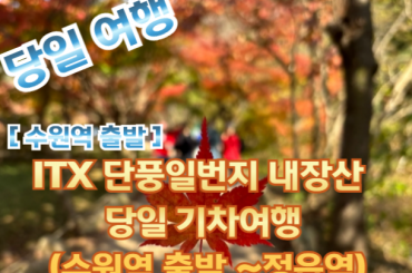 [새마을호-수원역 09:15] 단풍일번지 내장산 당일 기차여행  (당일) 10월24일~11월15일 [수원역,천안역]