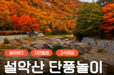 [ITX /가을단풍] 내설악 백담사계곡 / 고성 송지호 바다정원 당일여행 [용산역,청량리역] - 2식제공 [10월~11월]