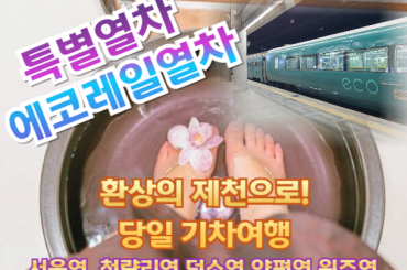 [특별열차-에코레일 열차] 따뜻한 연말을 즐기고 싶다면, 환상의 제천으로! 기차여행 (당일)  [12월 21일(일),27일(토) ] [서울역,청량리역,덕소역,양평역,원주역]