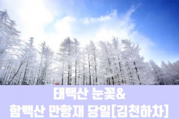 [수도권,경기도,충주권,경상권] [김천하차-겨울눈꽃]태백산 눈꽃 / 함백산 만항재 국내당일여행 [서울역,광명역,진주역,마산역,창원역,부산역,울산역,경주역,동대구역]