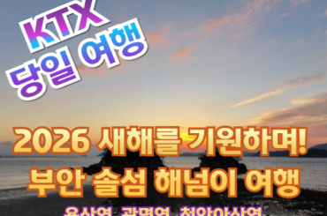 [ KTX -당일] 2026 새해를 기원하며! 부안 솔섬 해넘이 기차여행 (당일) 12월31일 당일 [ 용산역,광명역,천아산역]