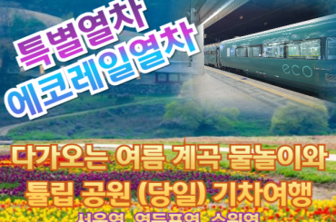 [특별열차-에코레일 열차] 다가오는 여름 계곡 물놀이와 튤립 공원  (당일) -2식 [5월9일(토) 23일(토) ] [서울역,영등포역,수원역]