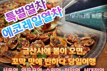 [특별열차-에코레일 열차] 금산사에 봄이 오면, 꼬막 맛에 반하다  (당일)  [ 5월30일(토) ] [서울역,영등포역,수원역,천안역,서대전역]