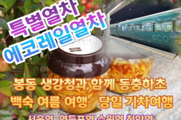 [특별열차-에코레일 열차]  봉동 생강청과 함께 동충하초 백숙 여름 여행 (당일)  [8월29일(토) ] [서울역,영등포역,수원역,천안역,서대전역]