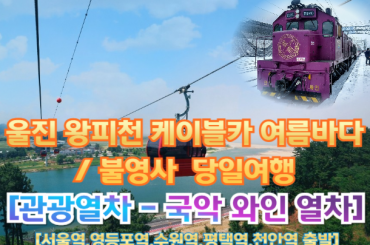 [국악와인열차-당일] 울진 왕피천 케이블카 여름바다 / 불영사  (당일)  [ 9월 6일(일),12일(토)] [서울역, 영등포역, 수원역, 평택역, 천안역]
