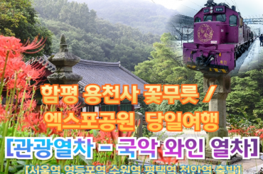 [국악와인열차-당일] 함평 용천사 꽃무릇 / 엑스포공원  (당일)  [ 9월 19일(토)] [서울역, 영등포역, 수원역, 평택역, 천안역,서대전역]