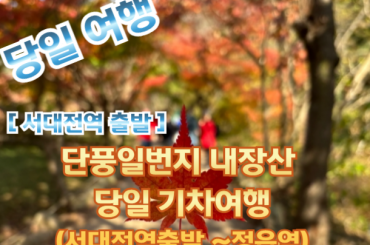 [KTX+새마을호 -서대전역 8:47] [단풍] 단풍일번지 내장산 당일 기차여행  (당일)  10월24일~11월15일 [서대전역,논산역,계룡역]
