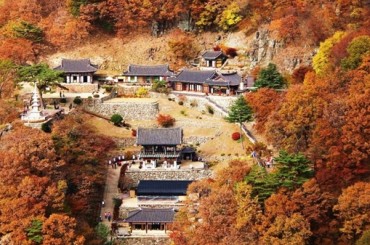 [협곡열차] 백두대간협곡열차 가을단풍 / 동해산타열차 / 부석사 여행행(당일) 여행 (당일) 10/17~11/14 (토요일)