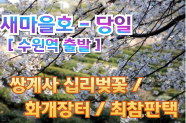[새마을호(수원역출발)]- 환상의 쌍계사 십리벚꽃  화개장터 / 최참판댁 봄꽃여행 (당일) 3월21일~4월12일 수원역,천안역,