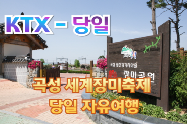 [KTX-당일]곡성 세계장미축제  자유여행  [봄꽃 여행-자유관광] (당일) 5월9일~31일