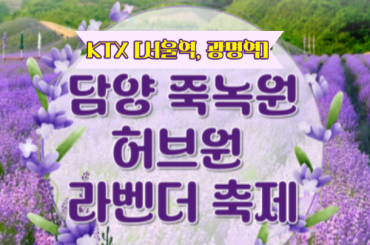 [KTX-당일 ] 담양(죽녹원/메타쉐콰이어길) / 보랏빛 향기 가득한 정읍 라벤더 축제 당일여행 -중식포함 [ 5/23~6/30 ] -대전역 승하차