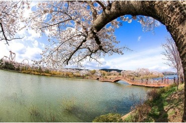 [ KTX-1박2일 ] 부산 (용궁사/해운대/자갈치시장) / 경주 벚꽃 (황리단길/동궁과월지/보문단지) (1박2일) -호텔급 [ 3월20일~4월4일] [서울역]