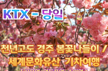 [ KTX -당일] 천년고도 경주 봄꽃나들이 / 세계문화유산 지식 가이드 기차여행(당일) [중식,석식 제공]- [서울역,영등포역,수원역 출발]