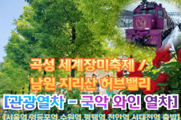[국악와인열차-당일] 곡성 세계장미축제 / 남원 지리산 허브밸리 (당일) 5월 25일(월) 31(일),  [서울역,영등포역,수원역,평택역,천안역,서대전역]
